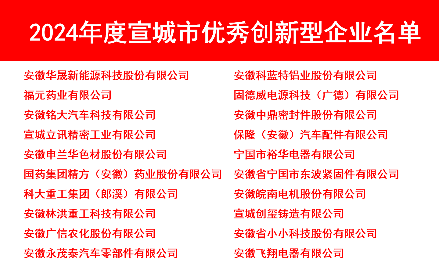 20250206宣城市高質(zhì)量發(fā)展大會(huì)1.jpg