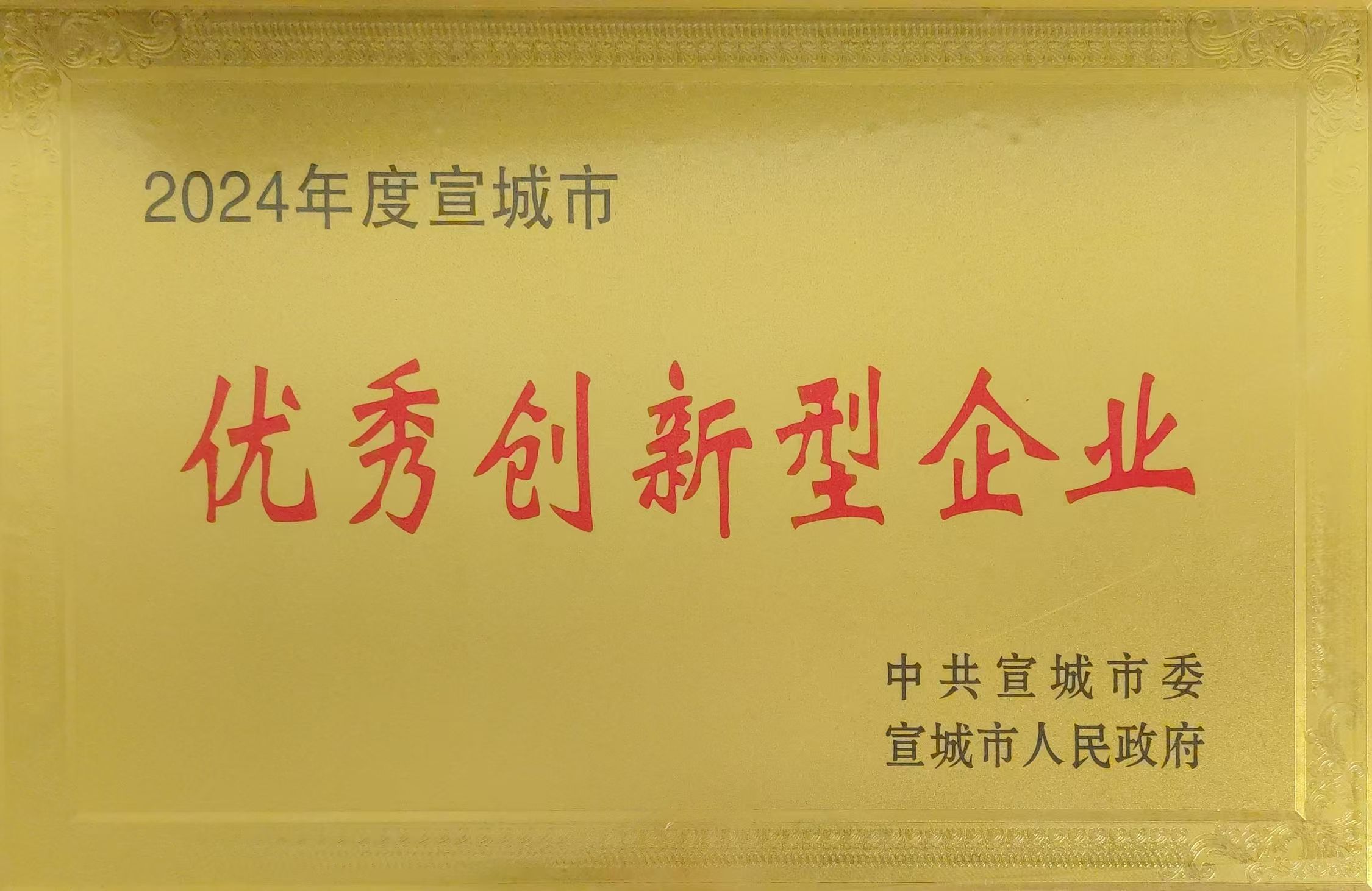 20250206宣城市高質(zhì)量發(fā)展大會(huì).jpg